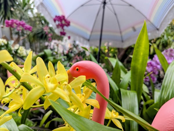 Finding light in dark days